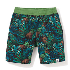 Szorty chłopięce granatowe Monstery i ananasy