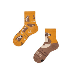 Skarpetki The Meerkat