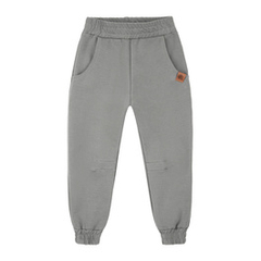Spodnie dresowe Igo szare