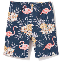 Bawełniane kolarki, flamingi na granacie