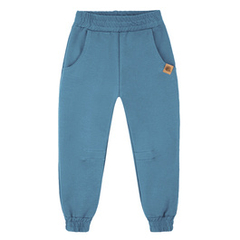 Spodnie dresowe Igo bluestone